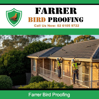 Professional bird proofing installation on residential roof in Farrer ACT
