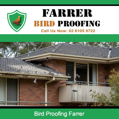 Residential homes in Farrer Canberra need urgent bird proofing services